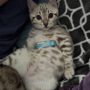 Echo relaxing jan 25