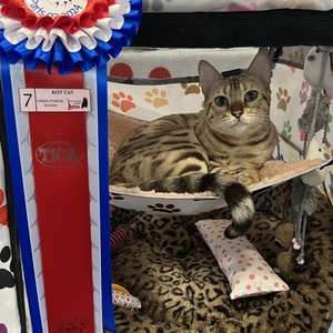 Tilly Catmini show Paris 09-03-24 02