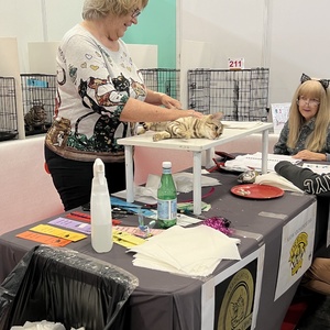 Tilly Catmini show Paris 09-03-24