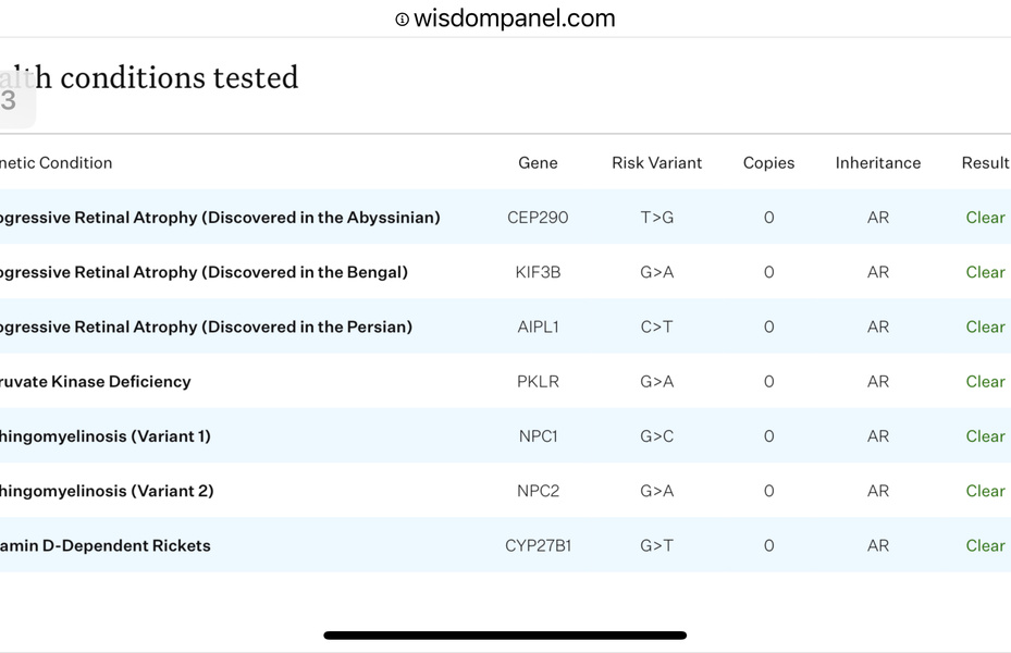 What is Polycystic Kidney Disease or PKD?